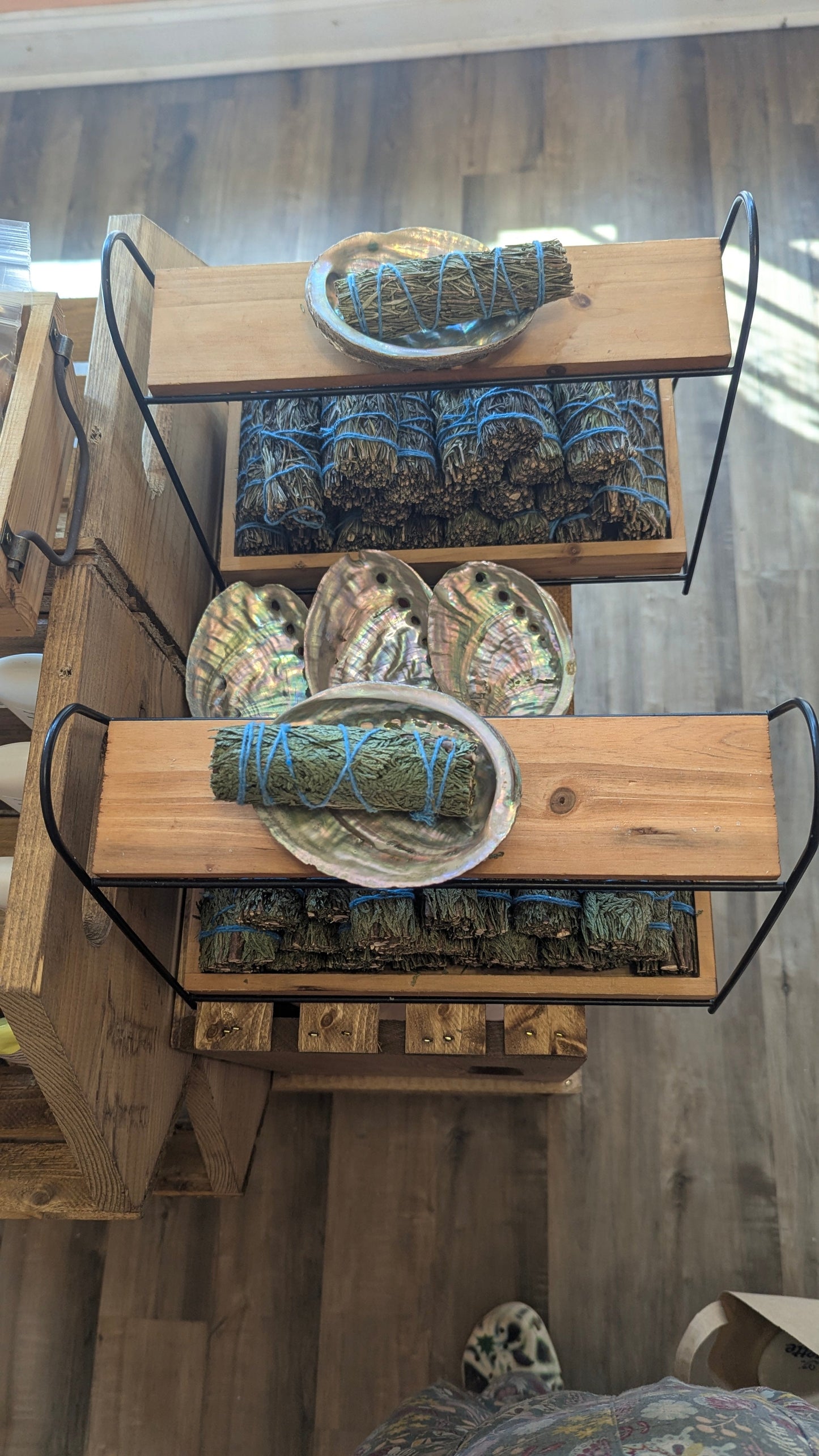 Abalone Shell
